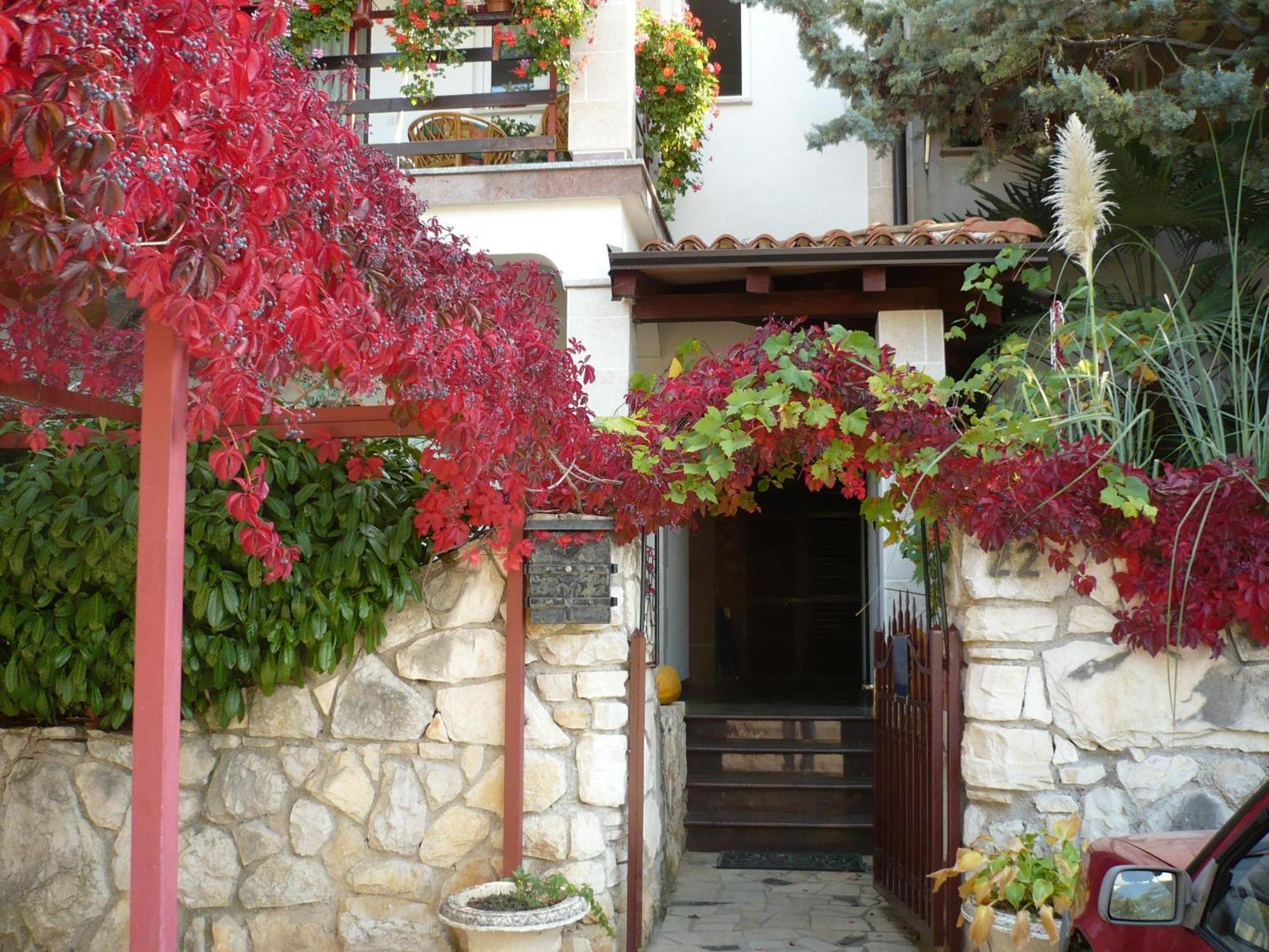 Apartments Finida Poreč Eksteriør billede
