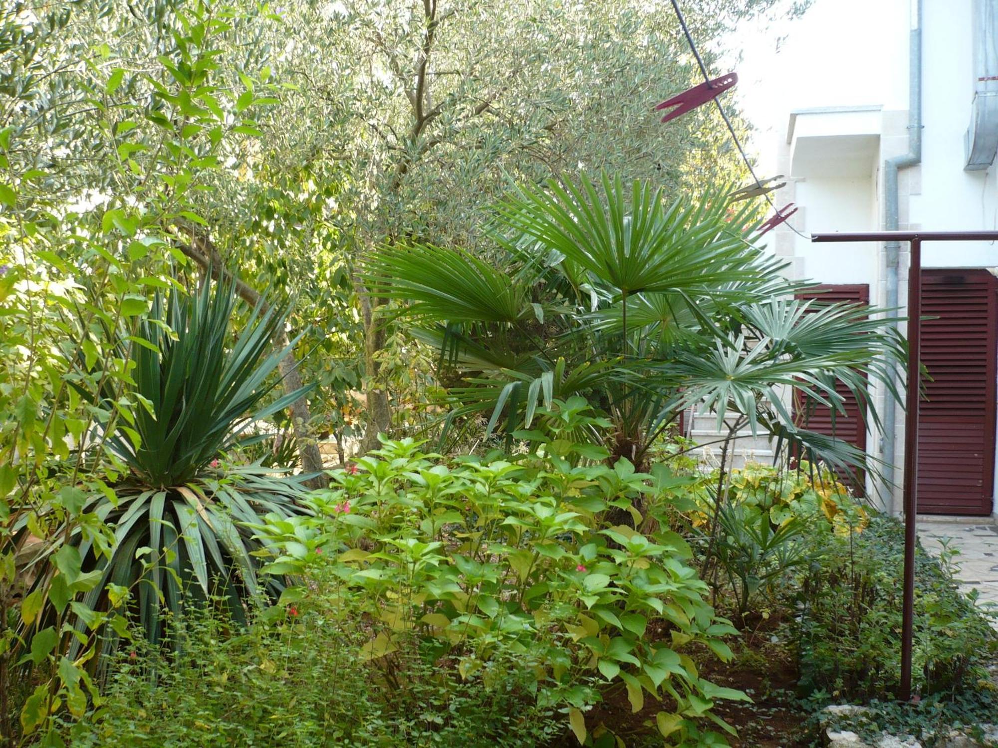 Apartments Finida Poreč Eksteriør billede